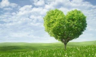 植树造林的宣传标语