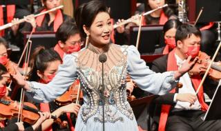 在希望的田野上歌词