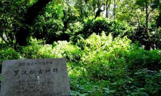 上海到普陀山自由行 上海到普陀山自由行